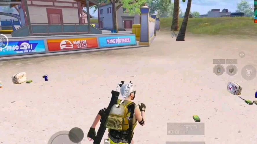 如何识别和防范和平精英游戏中的外挂行为